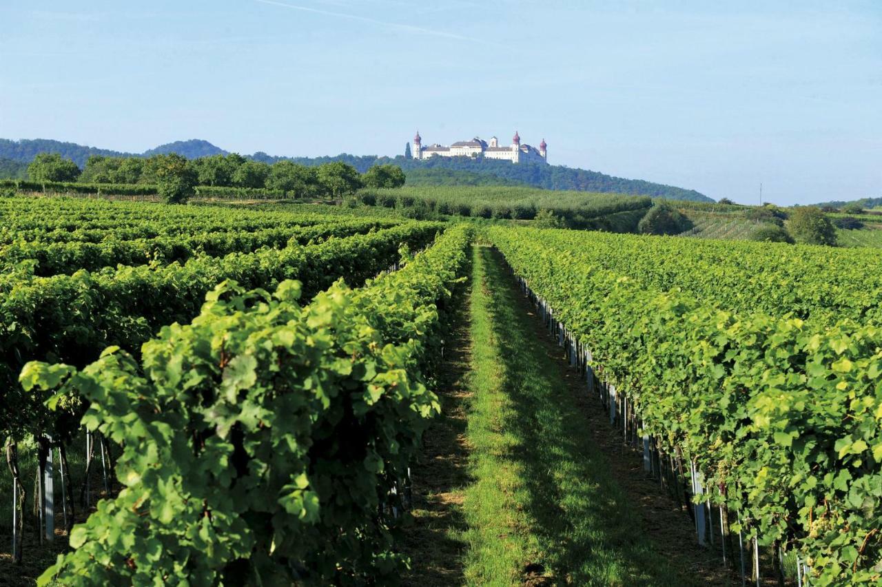 Landhaus Weinblick Hotel Rohrendorf bei Krems Luaran gambar